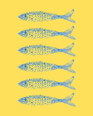 Image Not Available
